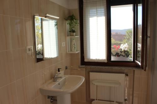 een badkamer met een wastafel, een spiegel en een raam bij B&B Fili d'erba in Farra dʼlsonzo