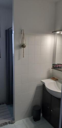a white bathroom with a sink and a shower at Charmante maison à la campagne 
