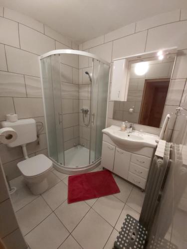 y baño con ducha, aseo y lavamanos. en Apartma Brešan, en Kobarid