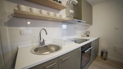 een aanrecht met een wastafel en een fornuis bij Apartman Trebevic-Sarajevo in Dovlići