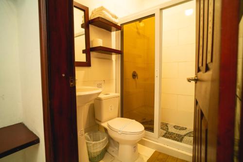 a bathroom with a toilet and a sink and a shower at Villa Shalom in Santa Rosa de Copán