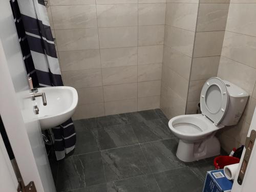 a bathroom with a toilet and a sink at Oaza Apartment Mirijevo, Free Garage Parking in Belgrade