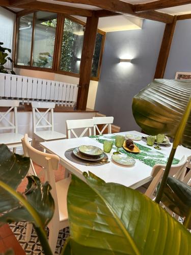 The Vatican Jungle loft con giardino vicino al Vaticano