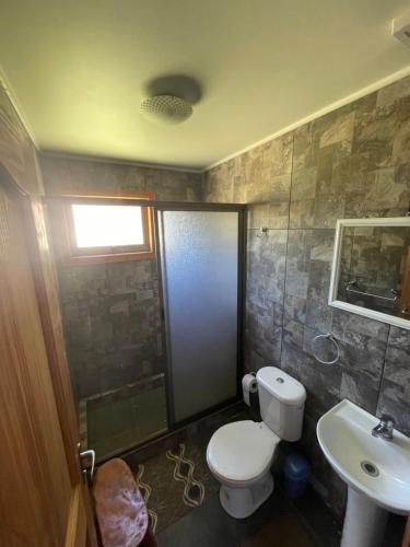een badkamer met een toilet en een wastafel bij Cabaña Ojo del Volcán in Pucón