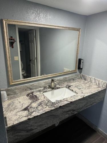 a bathroom counter with a sink and a mirror at Midtown Lodge in Jacksonville