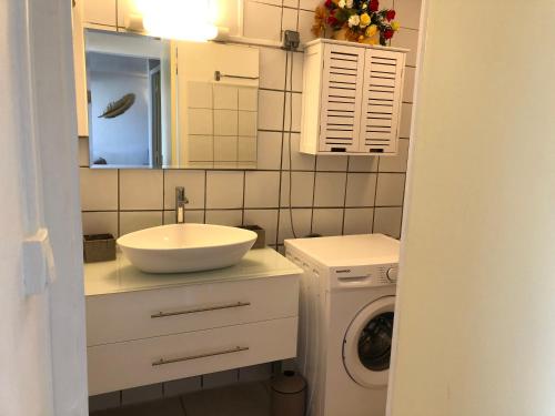 a bathroom with a sink and a washing machine at Chez Laurenn in Le Carbet