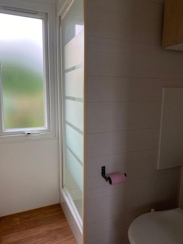 baño con aseo y ventana en Mobil-home mitoyen 1 chambre 