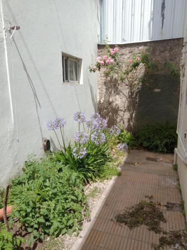 un giardino con fiori viola accanto a un edificio di Departamento ph amplio necochea Rotonda a Necochea