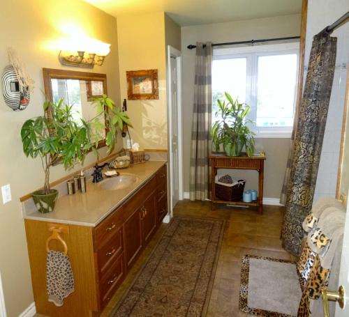 łazienka z umywalką i 2 doniczkami w obiekcie Safari Getaway w mieście Orono