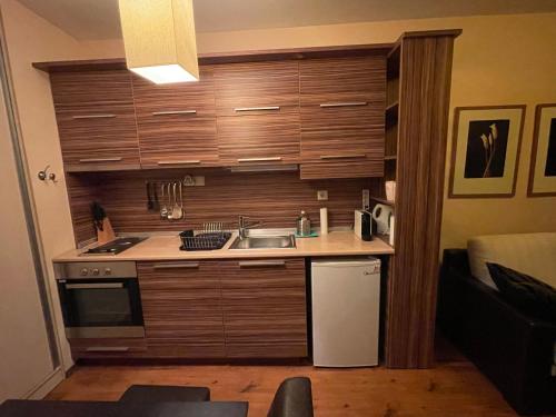 uma pequena cozinha com um lavatório e um fogão em Lorena’s Apartment Bansko,near Gondola em Bansko