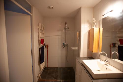 a bathroom with a sink and a shower at Almere Centre half an hour train to Amsterdam in Almere