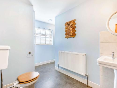 a bathroom with a toilet and a sink at 2 Bed in Higher Clovelly 43751 in Clovelly