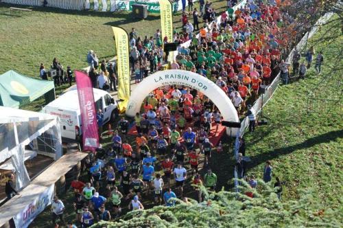 a large group of people running in a race at Gîte Les Cerisiers Sud-Gironde dans le Sauternais meublé de tourisme 3 étoiles in Preignac