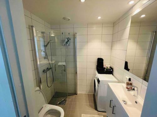 y baño con ducha, aseo y lavamanos. en Studio apartment 10mins from Oslo Cent. station., en Oslo