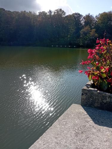 a view of a lake with some pink flowers at ibis les Etangs des Moines in Fourmies