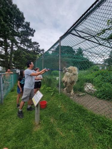 Zvířata v chaty nebo okolí