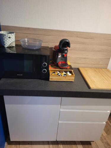 a kitchen counter with a microwave on top of it at Effet Mer, 4 etoiles, gîte de 80m2 in Dorlisheim