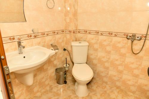 a bathroom with a toilet and a sink at Blyan Family Hotel in Chiflik