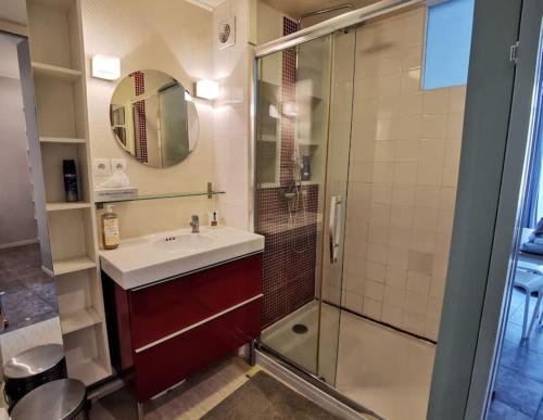 une salle de bain avec un lavabo et une douche dans l'établissement Logement 4 personnes tout équipé en centre-ville, à Rouen