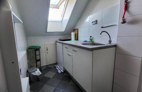 ein kleines Bad mit einem Waschbecken und einem Dachfenster in der Unterkunft Harz de luchs in Bad Harzburg