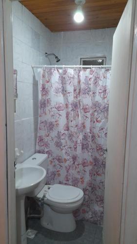 y baño con aseo, lavamanos y cortina de ducha. en PARQUE 331 en Malargüe