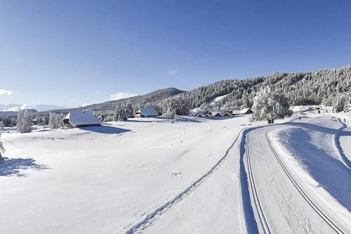 a road covered in snow in a field with trees at Superbe appartement 4 personnes au pied des pistes in La Féclaz