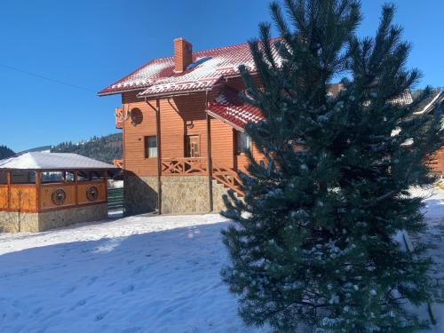 バコヴェルにあるAura Karpatの家の前のクリスマスツリー