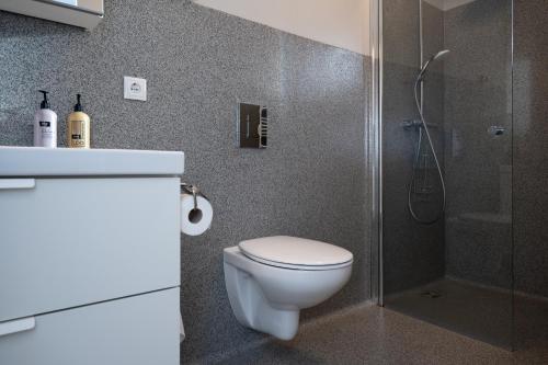 a bathroom with a white toilet and a shower at Kornmúli in Búðardalur