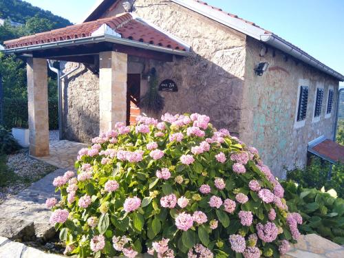 Holiday Home Iva