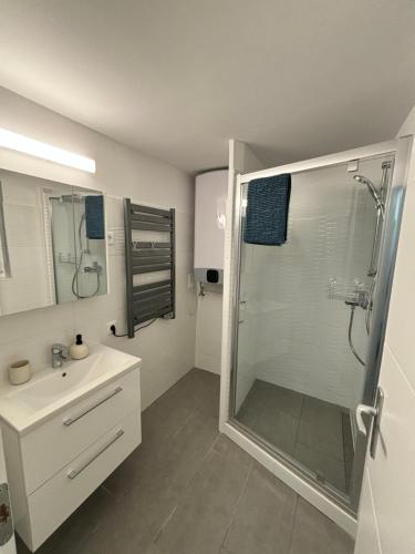 a bathroom with a shower and a sink at Szeglet Apartman in Andornaktálya