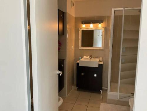 une salle de bain avec un lavabo et un miroir dans l'établissement Toit terrasse dans résidence avec piscine, à Cannes