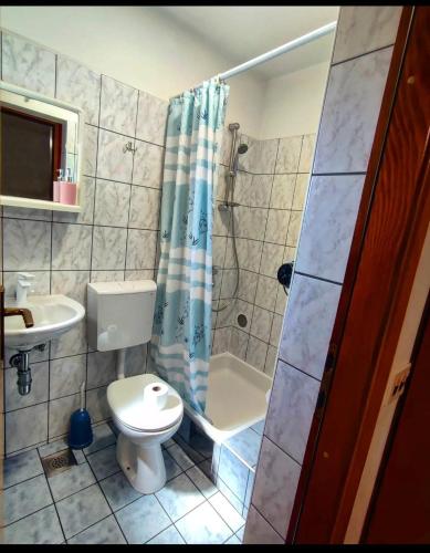 a bathroom with a shower and a toilet and a sink at Manora Sucuraj 2 bedroom apartment in Sućuraj