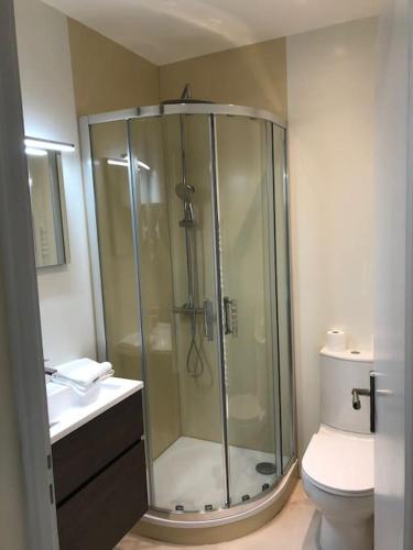 une salle de bain avec douche et toilettes dans l'établissement Charmant appartement centre ville avec cour, à Chalon-sur-Saône