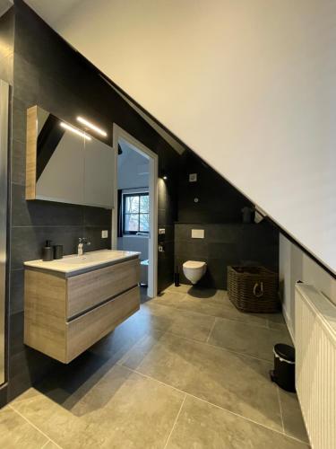 a bathroom with a sink and a toilet at B en B Stipdonk in Lierop