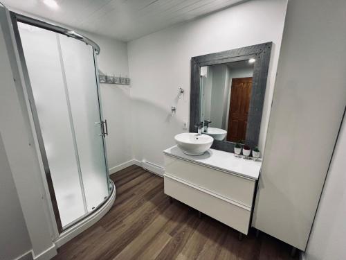 a bathroom with a sink and a mirror at L'APPÂT buvette et couchette de Sainte-Luce - Appartements de vacances modernes, calmes et ressourçant sur le fleuve in Sainte-Luce-sur-Mer