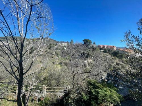 a house on top of a hill with trees at Fidelina V in Miraflores de la Sierra