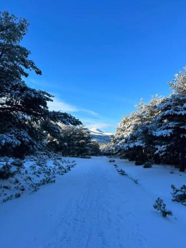 a snow covered path with trees and a blue sky at Fidelina V in Miraflores de la Sierra
