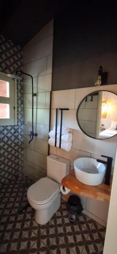 ein Badezimmer mit einem WC, einem Waschbecken und einem Spiegel in der Unterkunft Terrambú in Cordoba