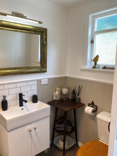 a bathroom with a sink and a mirror and a toilet at Cascade Cottage in Bombay