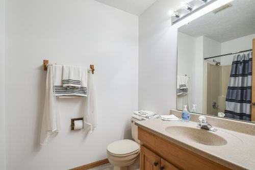 a bathroom with a sink and a toilet and a mirror at Welcoming Condo in Davenport Central Location! in Davenport