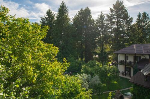 an aerial view of a yard with trees at Pension Andra's House in Horezu
