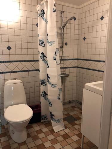 La salle de bains est pourvue de toilettes et d'un rideau de douche. dans l'établissement Övra Berg, à Ullared
