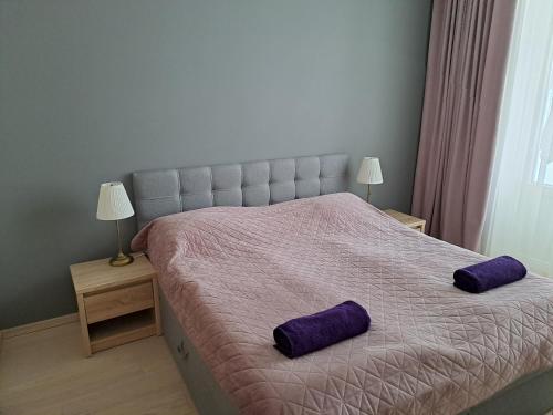 a bedroom with a bed with purple pillows on it at Aleksi Apartments in Tartu