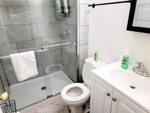ein Bad mit einer Dusche, einem WC und einem Waschbecken in der Unterkunft Escape Pine Forest- Getaway Experience in Summerville