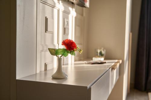 a vase with a red flower on a counter in a bathroom at Pyramids Charm Hotel in Cairo