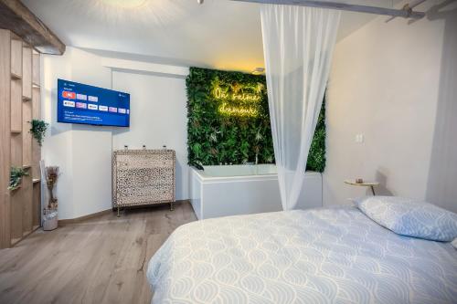 a bedroom with a bed and a tub and a television at L'Eden Zen - Suite Jacuzzi, parking, clim, Netflix in Béziers