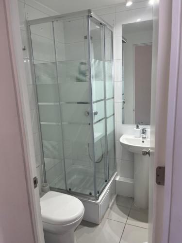 W łazience znajduje się prysznic, toaleta i umywalka. w obiekcie apartamento nuevo comodo 4 camas w mieście Viña del Mar