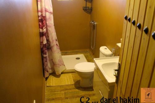 y baño con aseo, lavabo y ducha. en Dar El Hakim, le petit hôtel de Timimoun en Timmoun