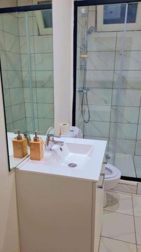 une salle de bain avec un lavabo et des toilettes dans l'établissement Beau T2 à Stains, à Stains