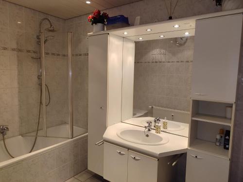 a bathroom with a sink and a shower and a tub at Komfortable Ferienwohnung in Flörsheim-Weilbach in Flörsheim